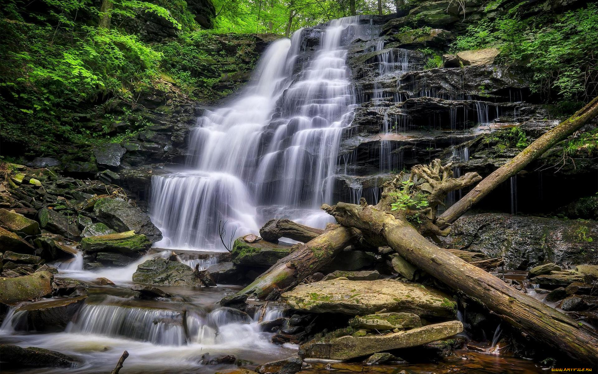 , , , , , pennsylvania, ricketts, glen, state, park